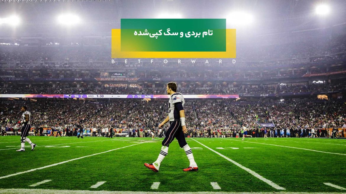 تام بردی و سگ کپی‌شده‌اش