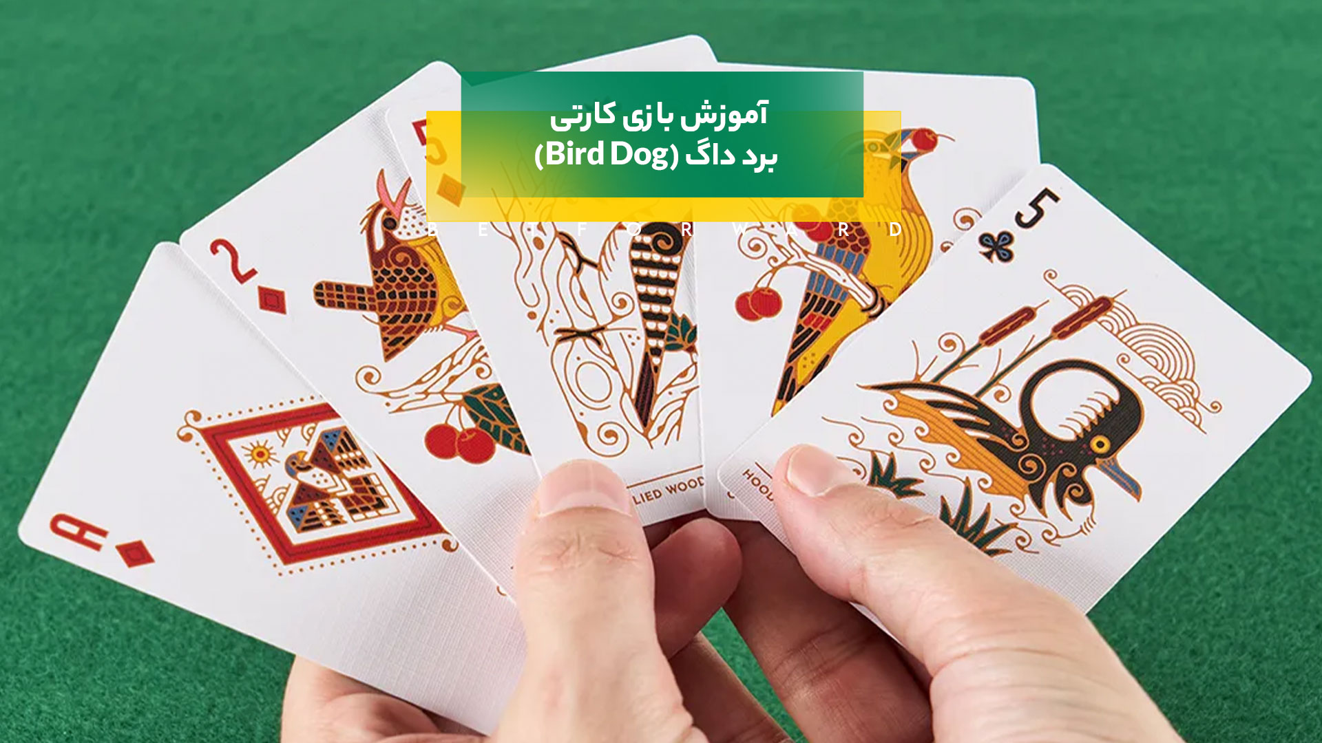 بازی کارتی برد داگ