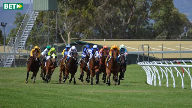 آموزش اسب دوانی و معرفی استراتژیهای پرسود پیش بینی در آن آموزش اسب دوانی و معرفی استراتژیهای پرسود پیش بینی در آن