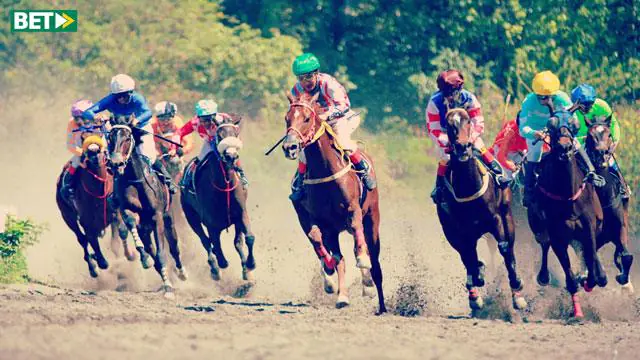 آموزش اسب دوانی و معرفی استراتژیهای پرسود پیش بینی در آن اسب سواری