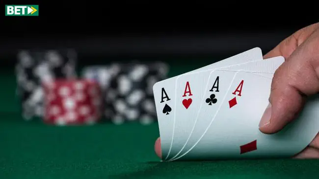 تری آف کایند تری آف کایند