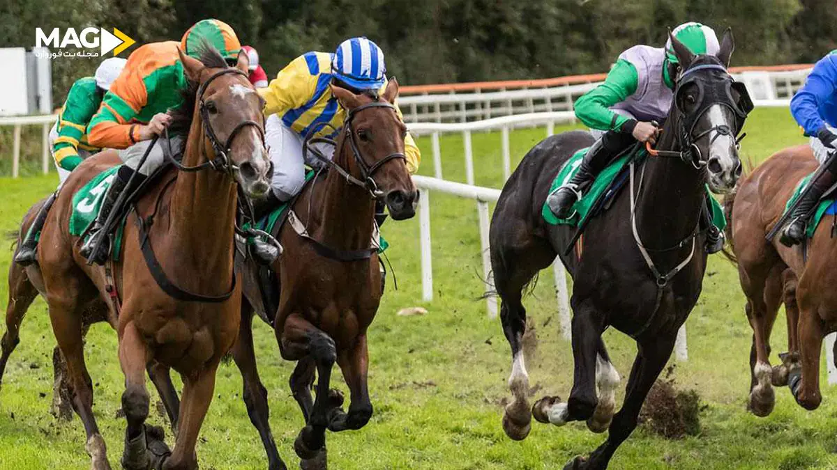شرط بندی در اسب سواری شرط بندی در اسب سواری