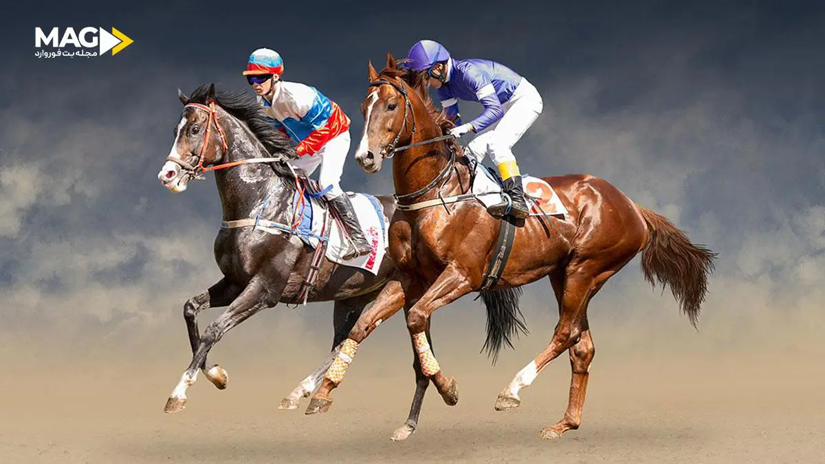 سیستم هندیکاپینگ اسب سواری سیستم هندیکاپینگ اسب سواری