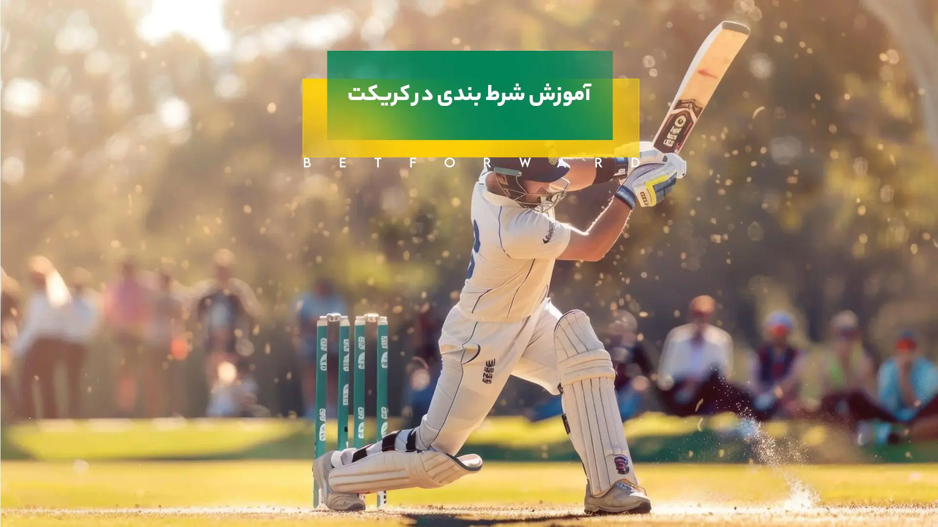 شرط بندی در کریکت