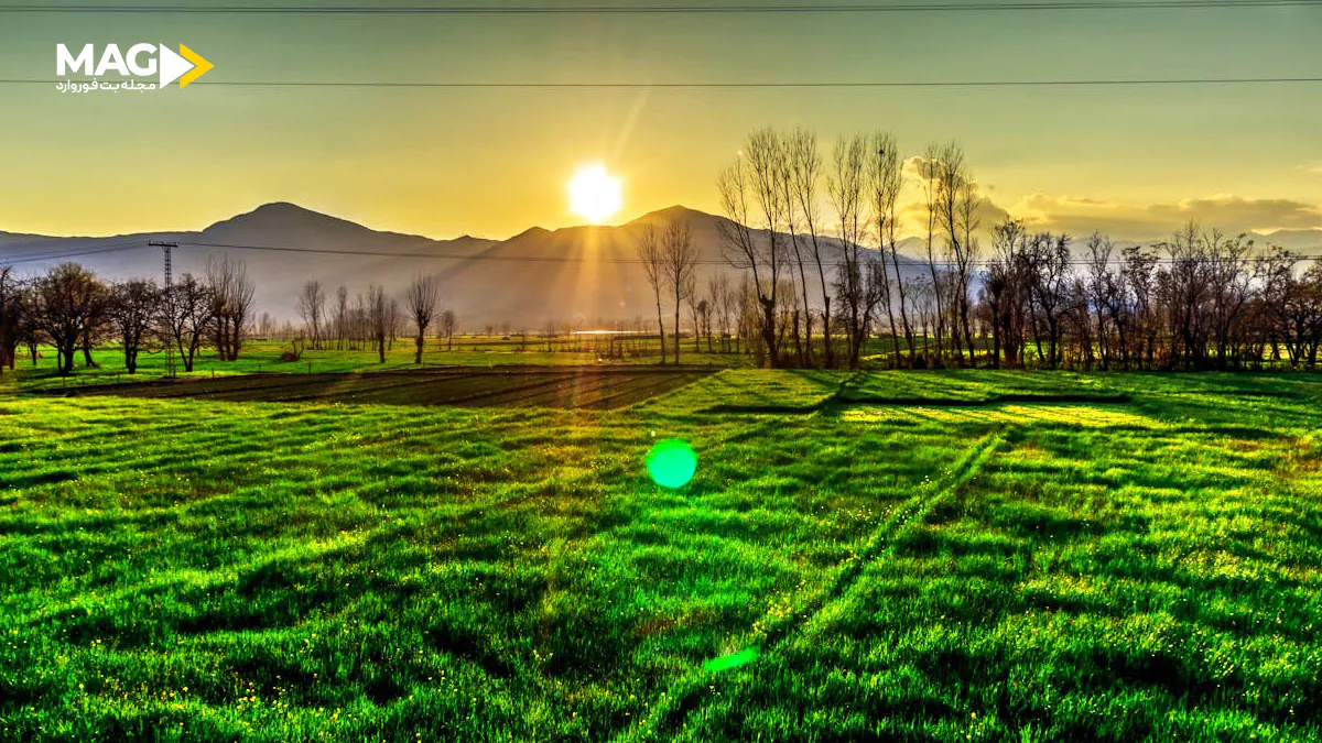 تست اعتیاد به قمار — به همراه راه خروج از این اعتیاد رهایی از قمار