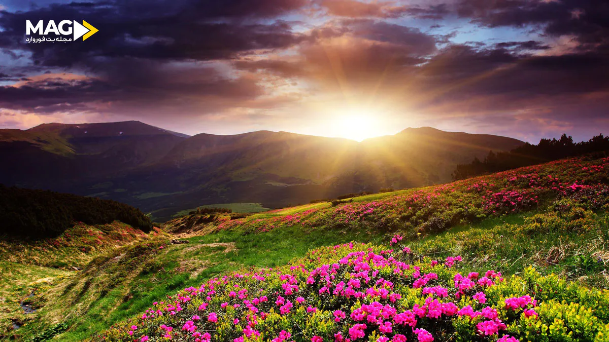 تست اعتیاد به قمار — به همراه راه خروج از این اعتیاد ترک قمار