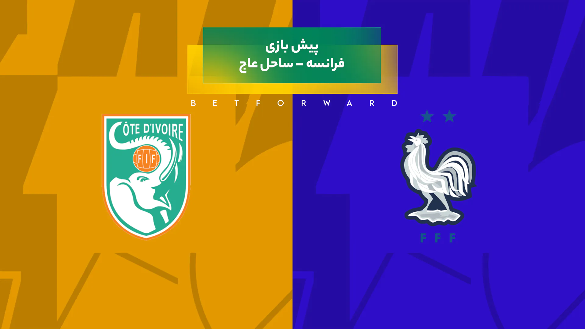 فرانسه – ساحل عاج